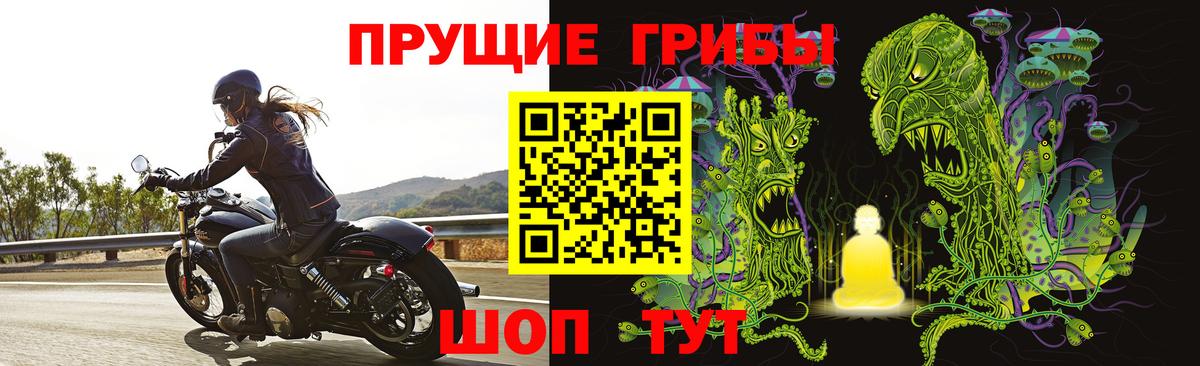 Тимашёвск  Псилоцибиновые грибы Psilocybe  Вход с VPN 